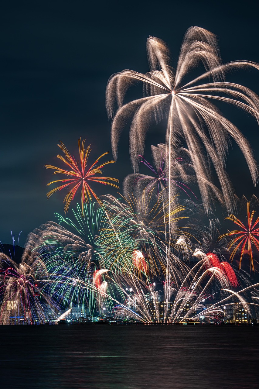 fireworks, fireworks display, lake, lake biwa, event, palm tree, japan, nature, phone wallpaper, aesthetic wallpaper